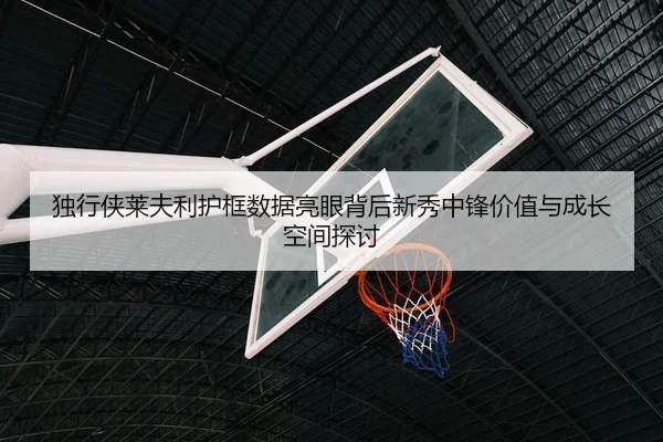 独行侠莱夫利护框数据亮眼背后新秀中锋价值与成长空间探讨